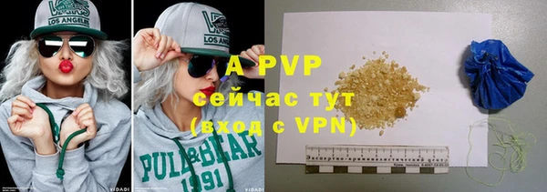индика Нефтегорск