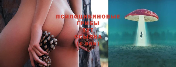 индика Нефтегорск