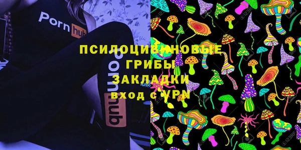 метадон Нея
