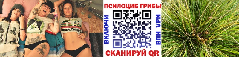 где купить наркотик  Кондопога  Галлюциногенные грибы MAGIC MUSHROOMS 