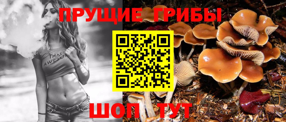 Галлюциногенные грибы мицелий Кондопога