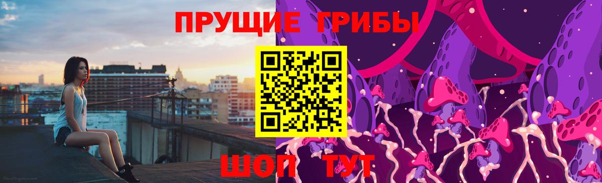 Псилоцибиновые грибы MAGIC MUSHROOMS  Кондопога  Галлюциногенные грибы Psilocybine cubensis 